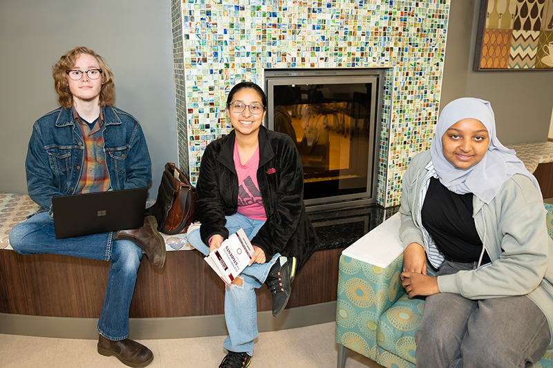 Students studying together